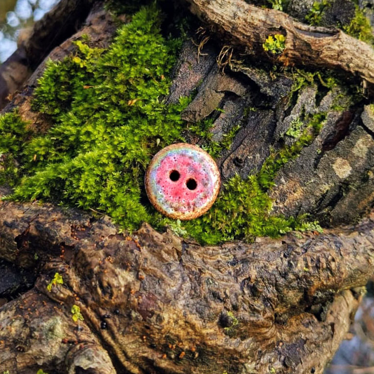 Pink button on a mossy tree